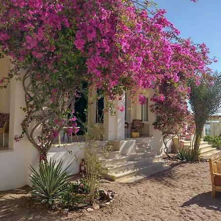 Marine Garden Camp Hostel