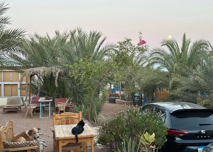 Ostello Marine Garden Camp Dahab