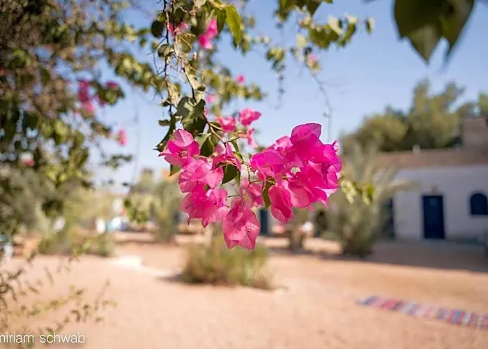 Marine Garden Camp * Dahab