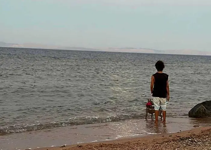 Marine Garden Camp