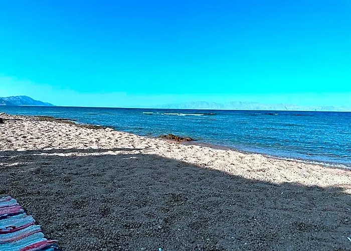 Marine Garden Camp