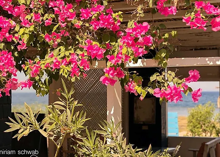 Ostello Marine Garden Camp Dahab